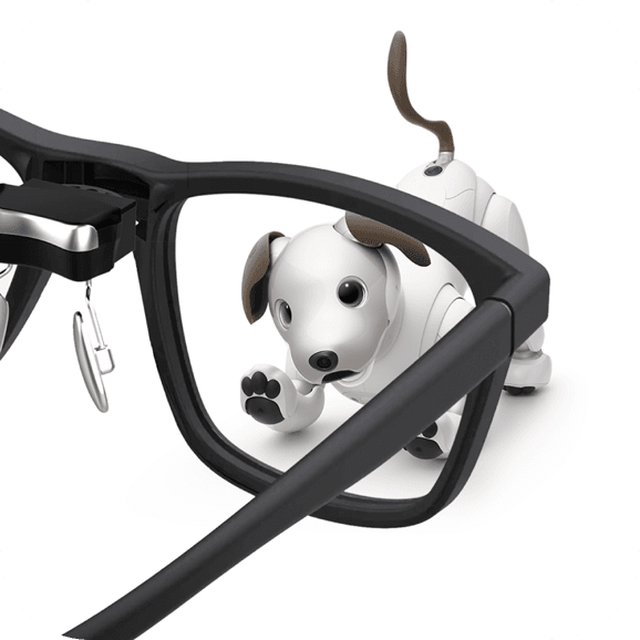 aibo